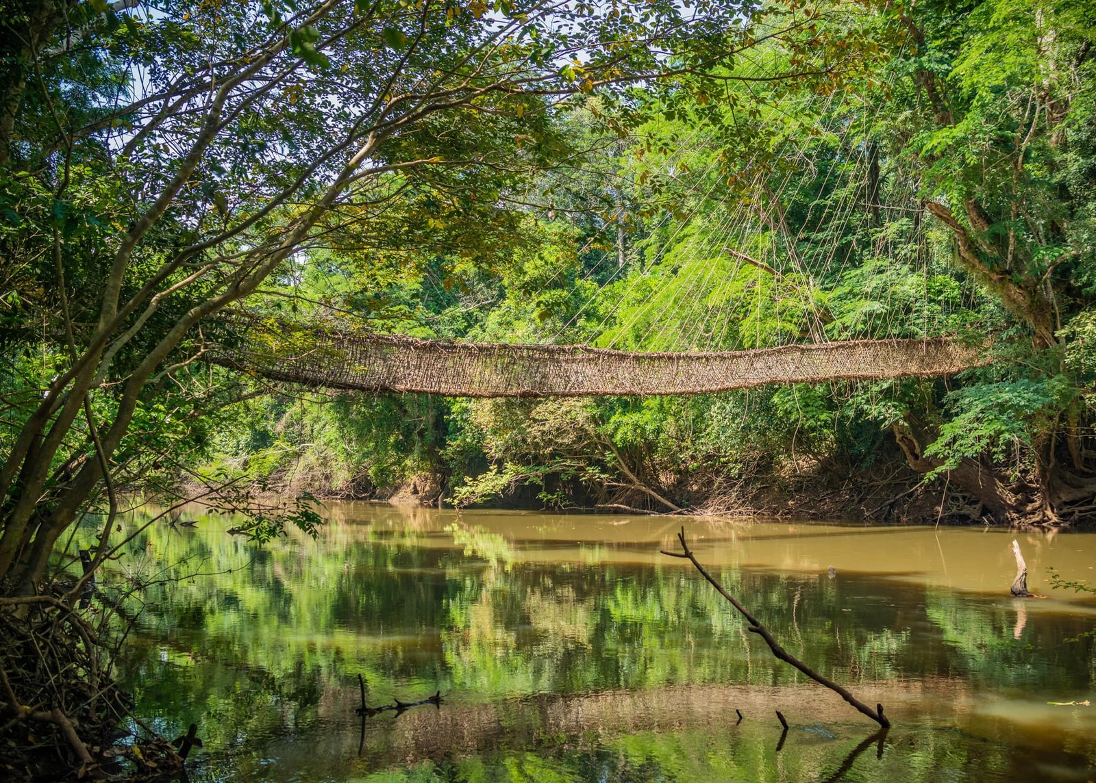 PONT DE LIANE